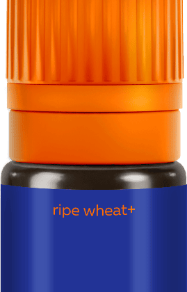 Permanentni pigment BROVI Ripe Wheat+