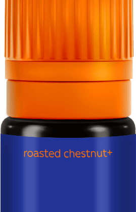 Permanentni pigment BROVI Roasted Chestnuts+